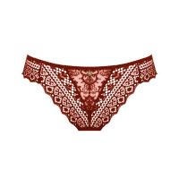 Cassiope thong