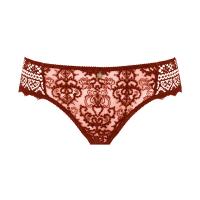 Cassiopee brief