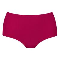 Anita essentials high waist brief