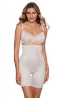 Miraclesuit shorts