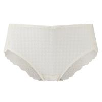 Envy|Panache|brief|ladies brief|lingerie|brand name|opaque|everyday sexiness|