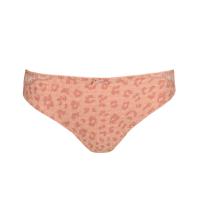 Prima donna madison rio brief powder rose