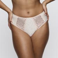 Primadonna Monterrey brief