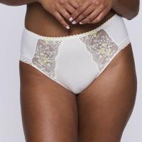 primadonna novaro full brief