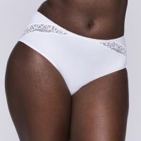 prima donna Salerno full brief