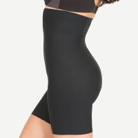 Spanx|high waist|control short|lingerie|control lingerie|Pollard and Read