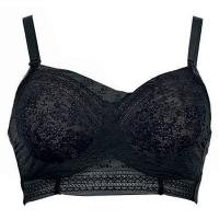 Anita|Fleur|lace crop top|0600|ladies crop top|under shirt|modesty panel|pollard and Read|black lace|